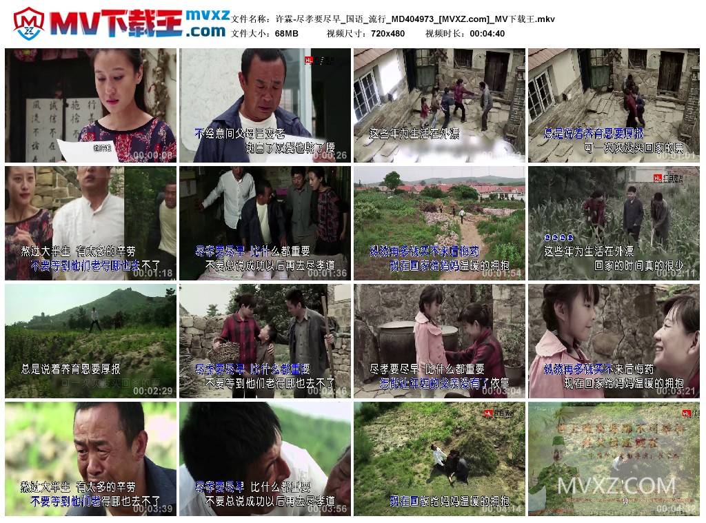 许霖-尽孝要尽早_国语_流行_MD404973